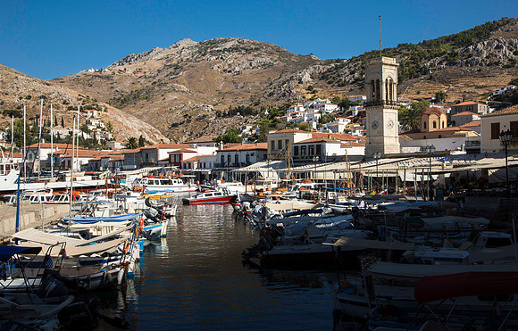 Hydra