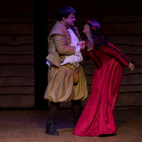 Taming of the Shrew