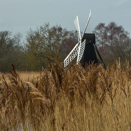 Wicken Fen