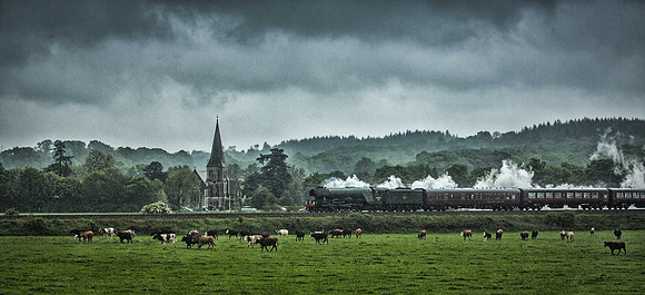 Rainy day Scotsman