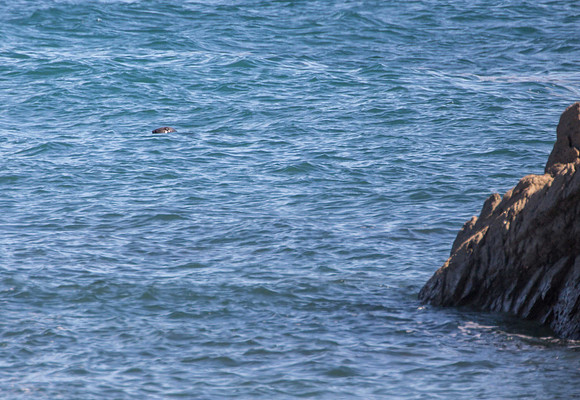 Lundy Seal