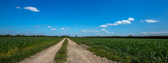 Posbrook Farm Track