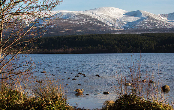 Cairngorm from Loch Morlich
