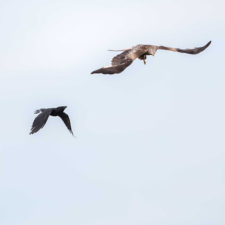 Skyjacking sequence