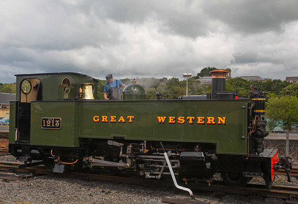 Rheidol Valley Railway