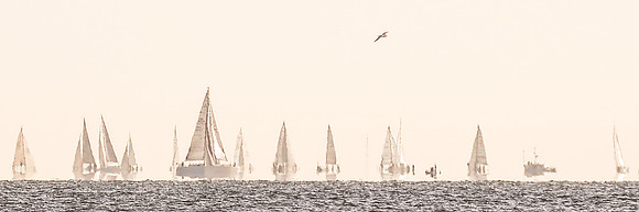 Waiting for the wind