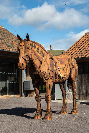Museum of Rural Life