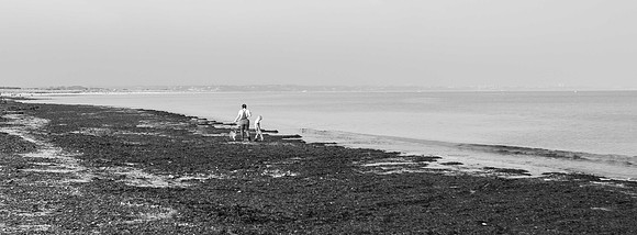 Studland Bay