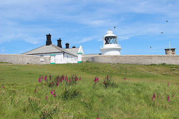 Anvil Point Lighthouse, Dorset
