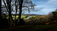 Godshill Enclosure