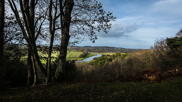 Godshill Enclosure