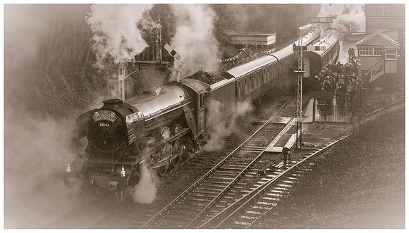 Raining Day Scotsman scored 9.5 Nov 20
