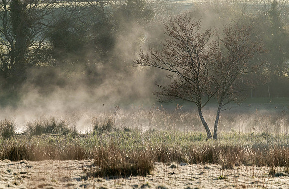 River Meon at dawn