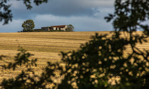 Home via Watership Down