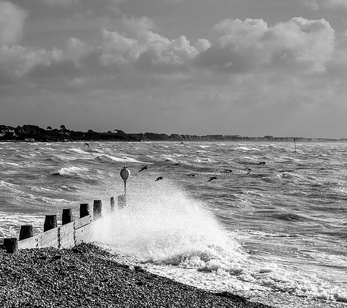 Storm Birds, Titchfield Haven