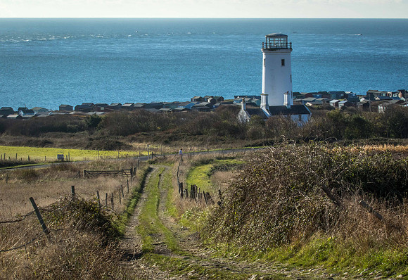 Portland Bird Observatory